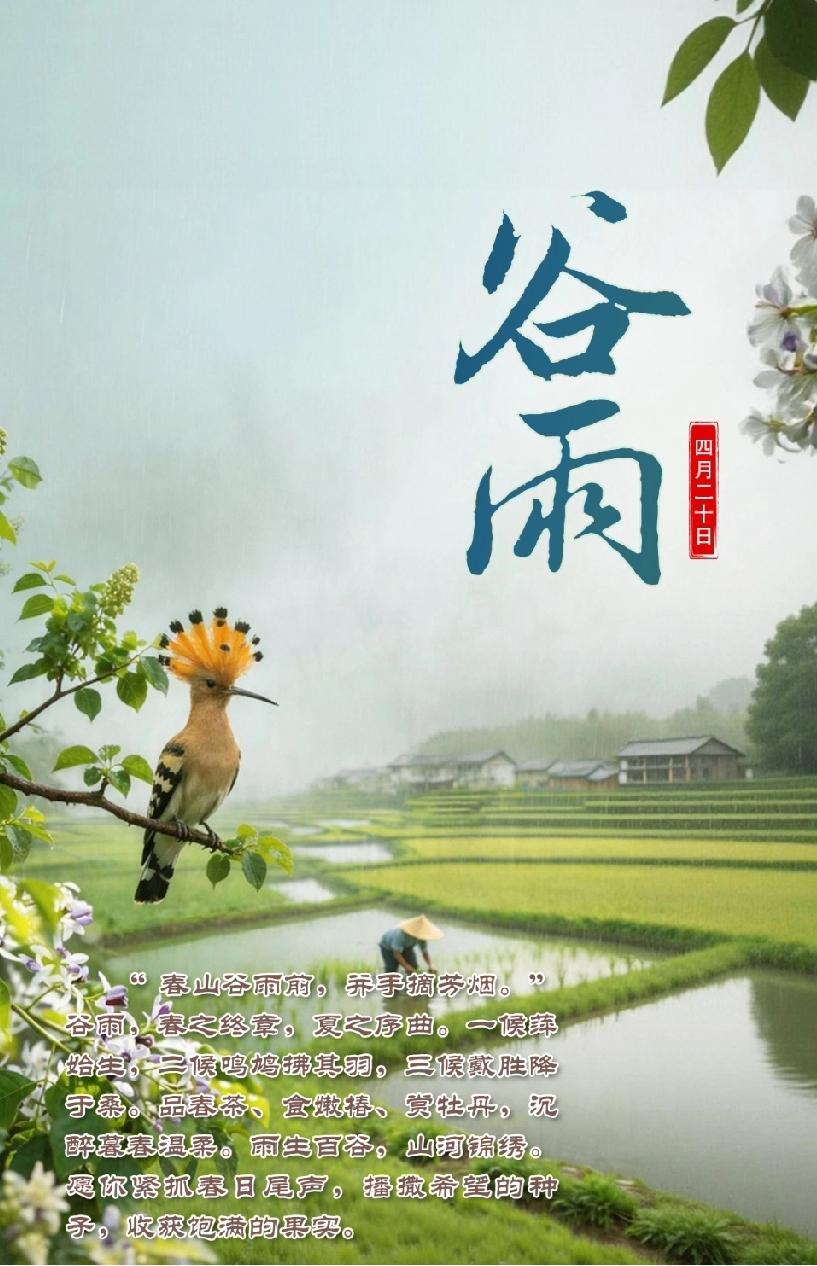 今日谷雨

谷雨，是春的告别，
也是夏的序曲。
它催促万物生长，
也提醒我们：