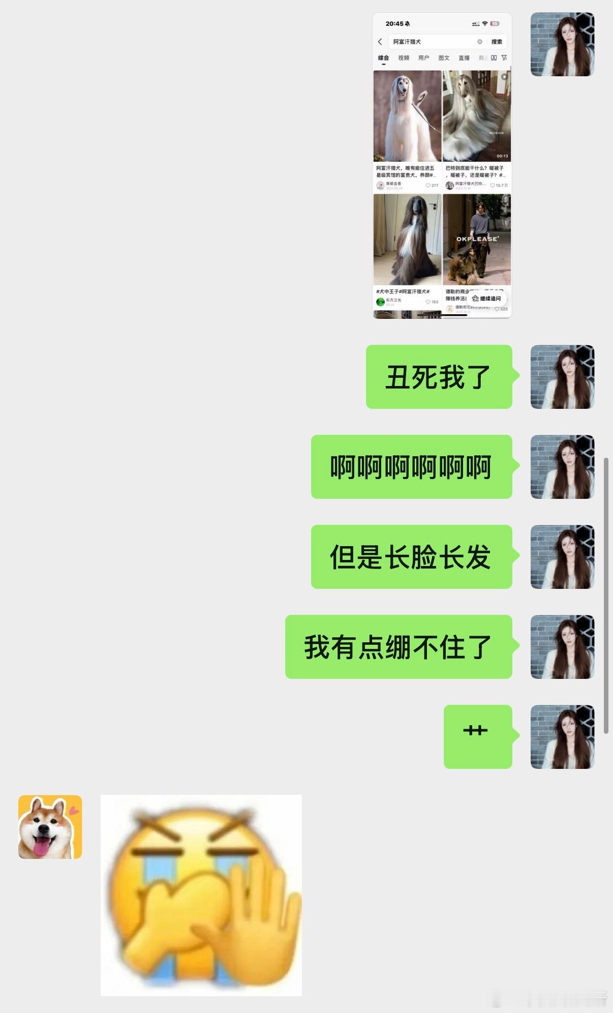 朋友说我长得像阿富汗猎犬我瞬间秒懂“小长脸 小脸 长发”我真的绷不住了[泪] 家