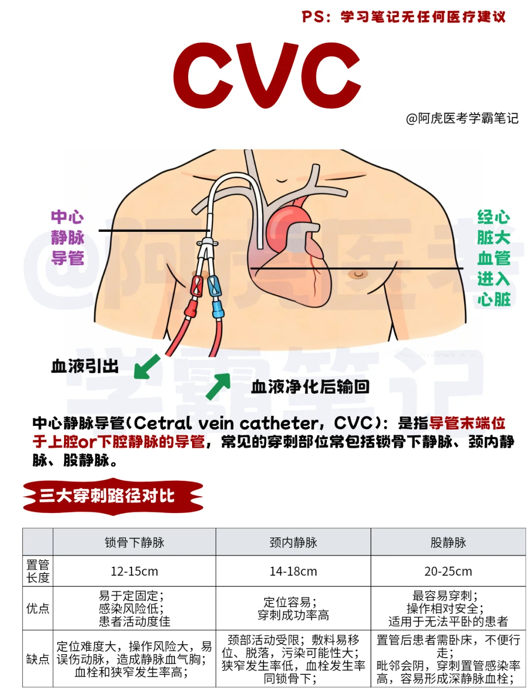 医学生笔记📒：中心静脉导管👆