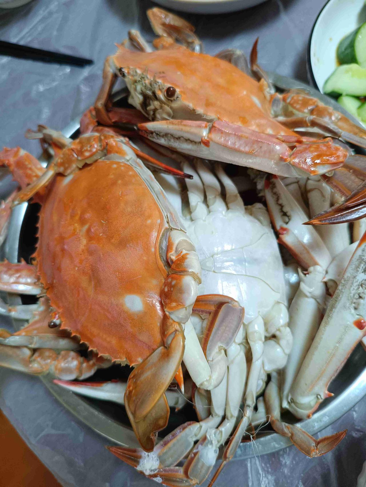 昨天吃了早饭快八点了，孩子们要来吃午饭，我和老伴便从市南坐322路公交车，去市北