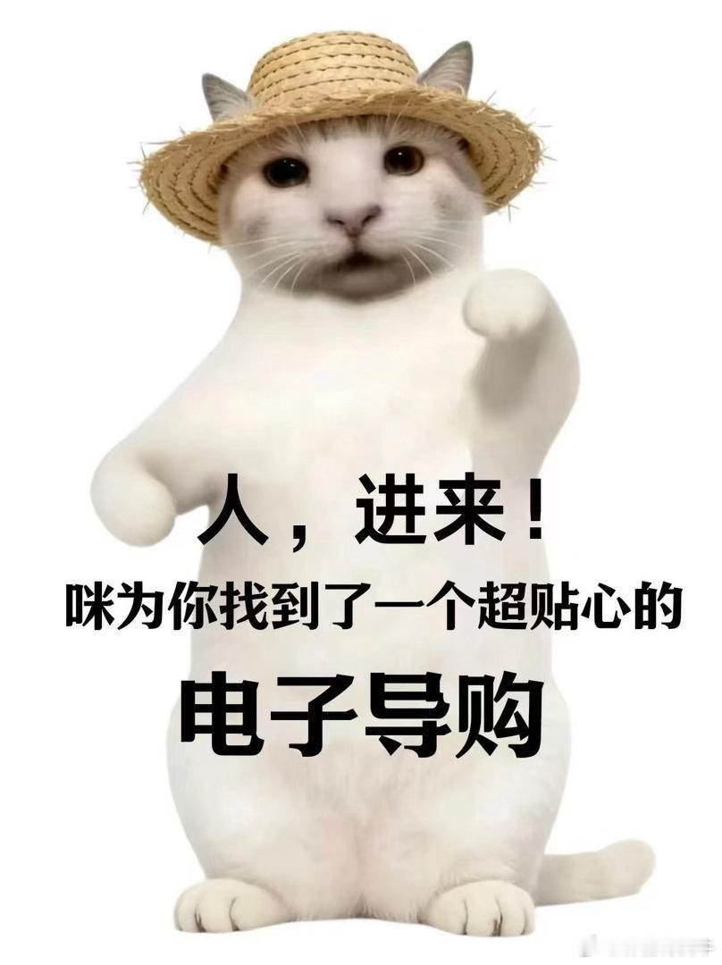 大部分人都对尺寸没有概念选购地毯总拿捏不准尺寸，多亏智能AI导购，实景模拟摆放效