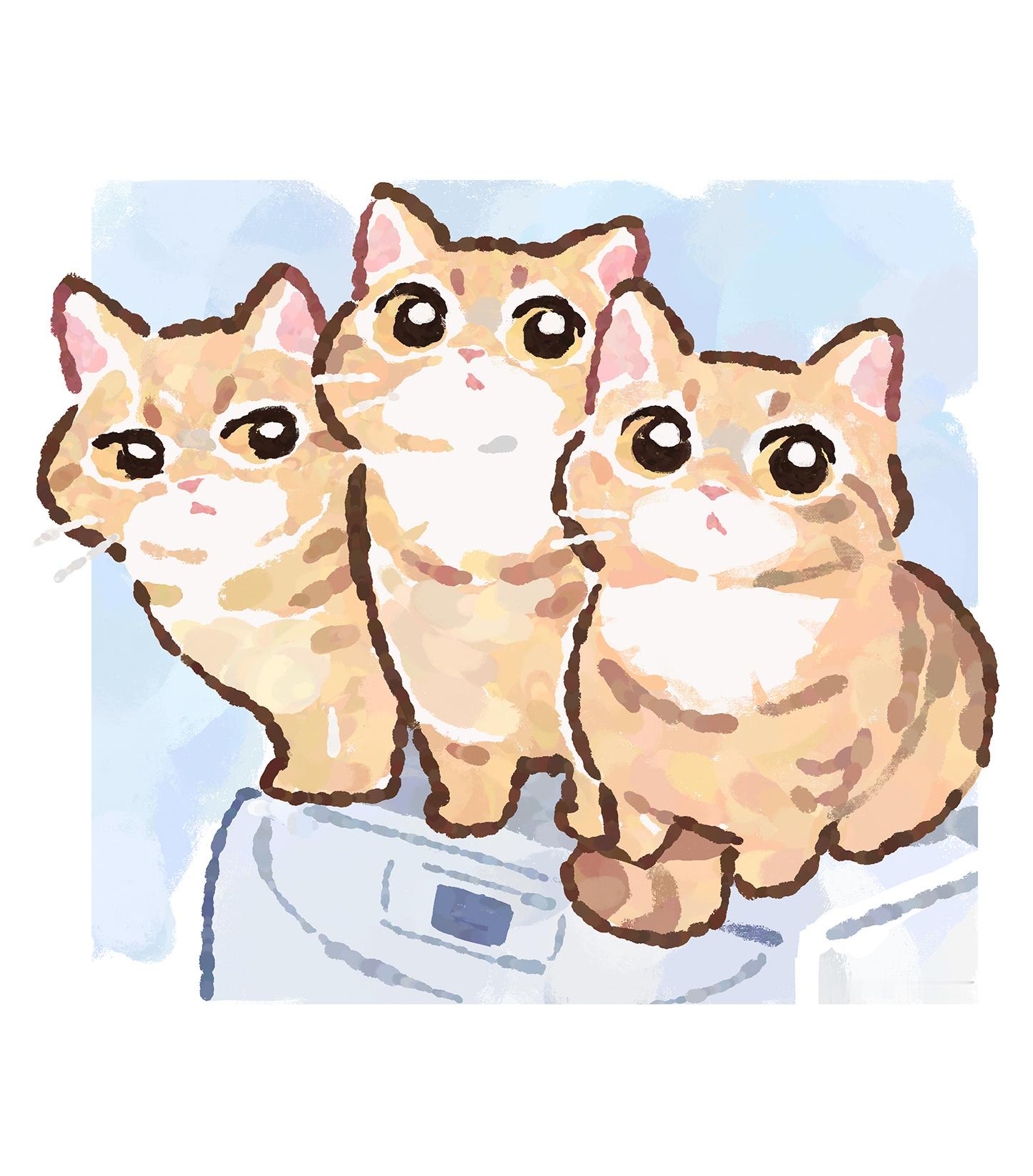 分享图片 ​​​