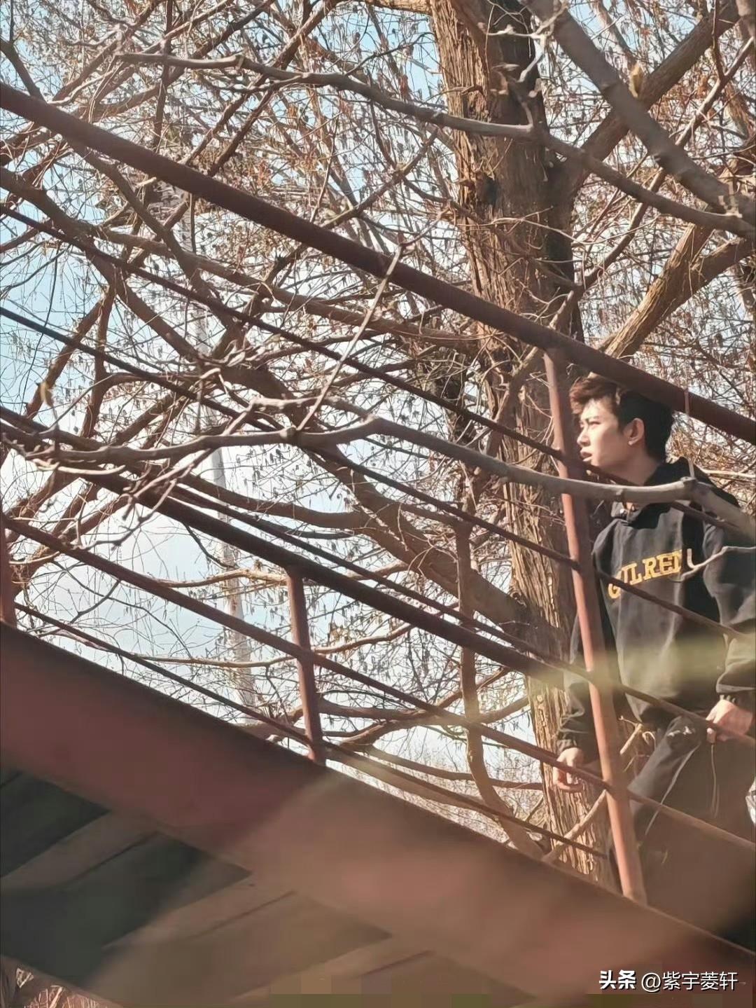 今天新鲜的任嘉伦，
终于有网友偶遇啦！[大笑][大笑]
北京798的任嘉伦干啥去