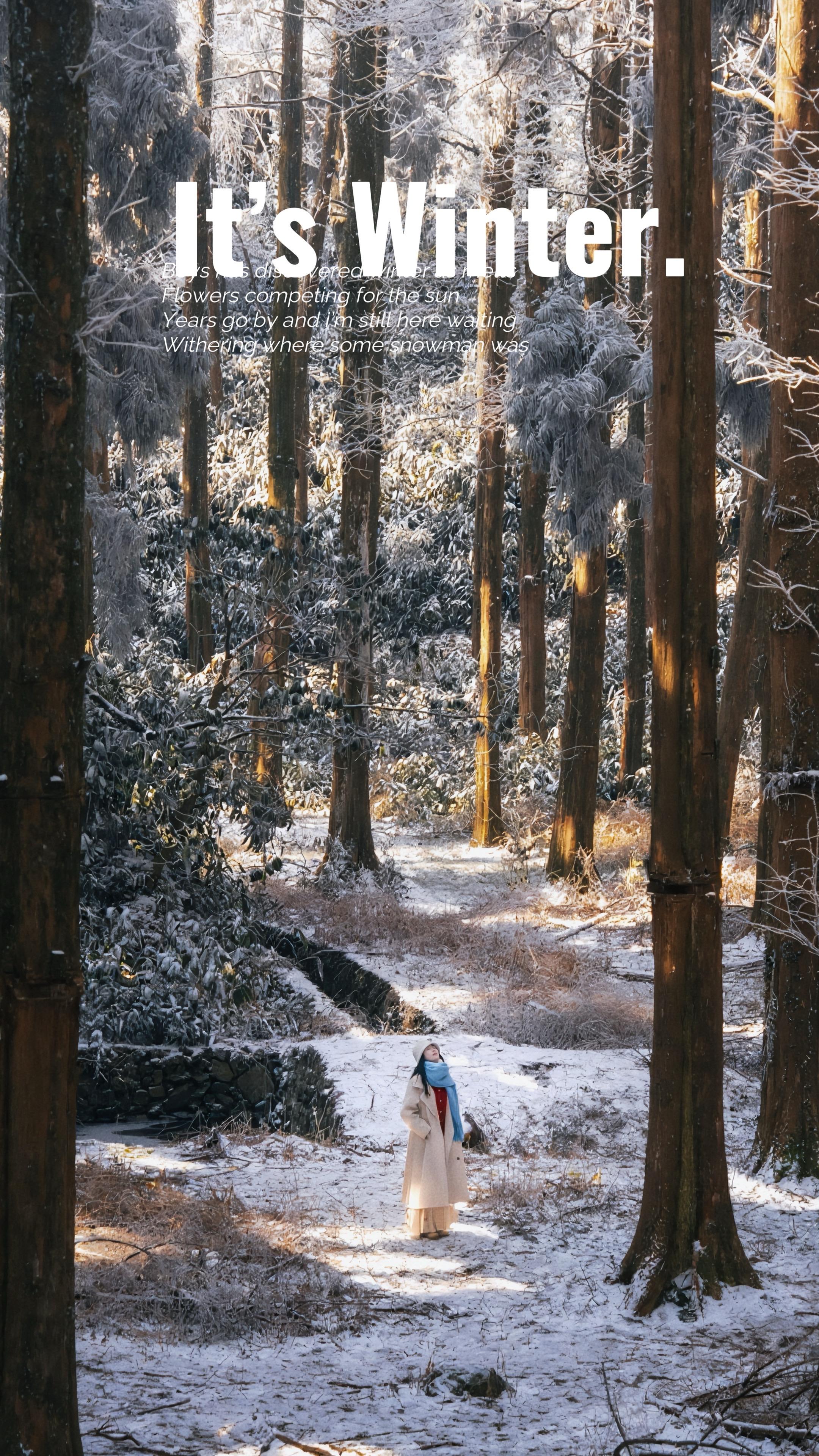 天台华顶雾凇约拍｜冰雪里的清冷白月光！白风衣、白帽配一抹蓝围巾，赴华顶...