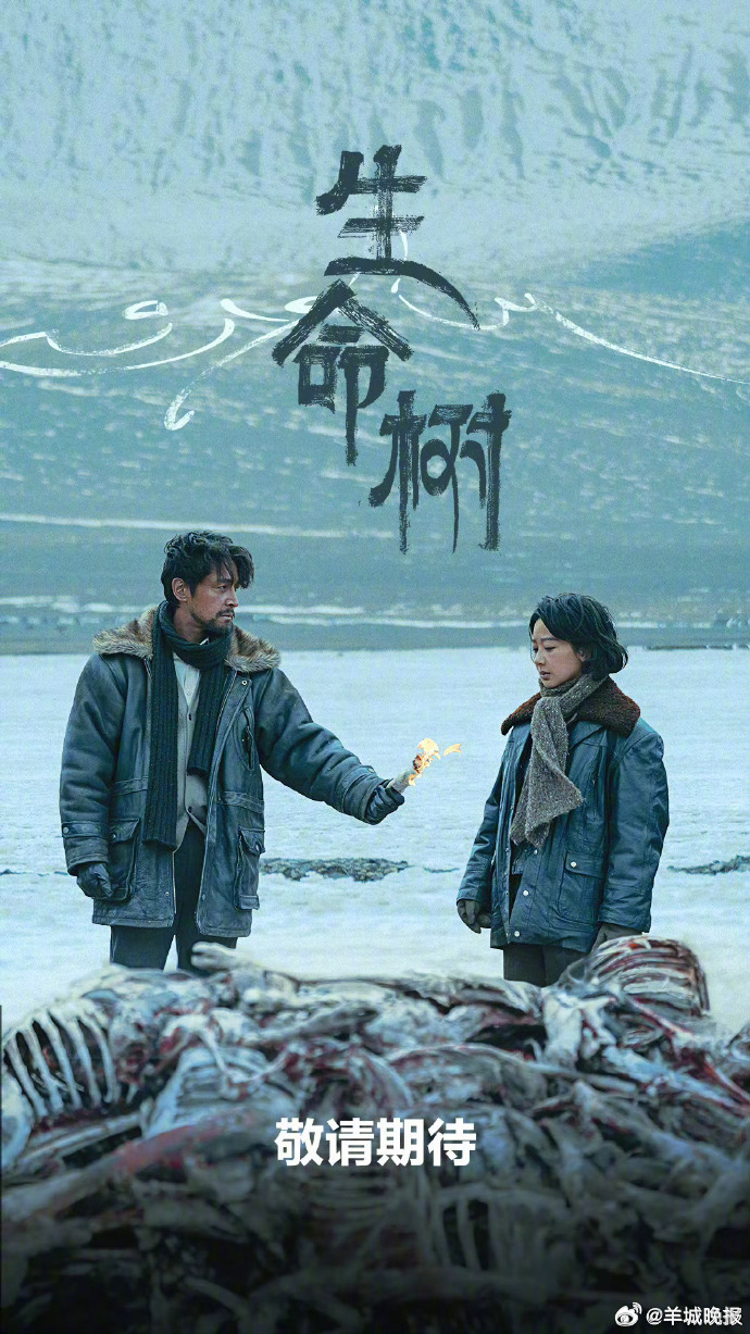 【2月份热播剧，你正在追哪部？】2026年2月热播剧涵盖古装探案、刑侦悬疑、都市