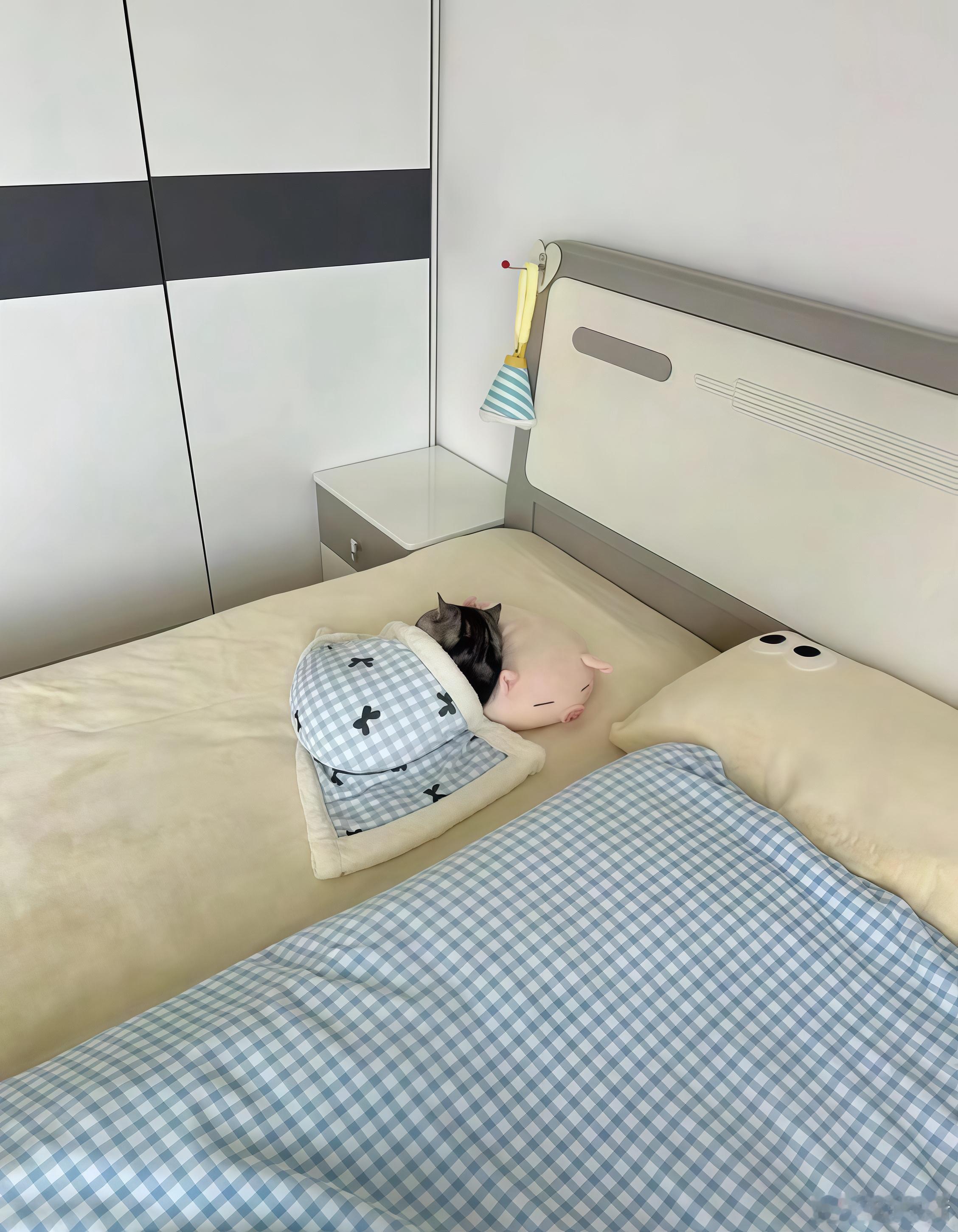 当我问妈妈“家里的猫最近怎么样？”，结果她发来了这张照片 