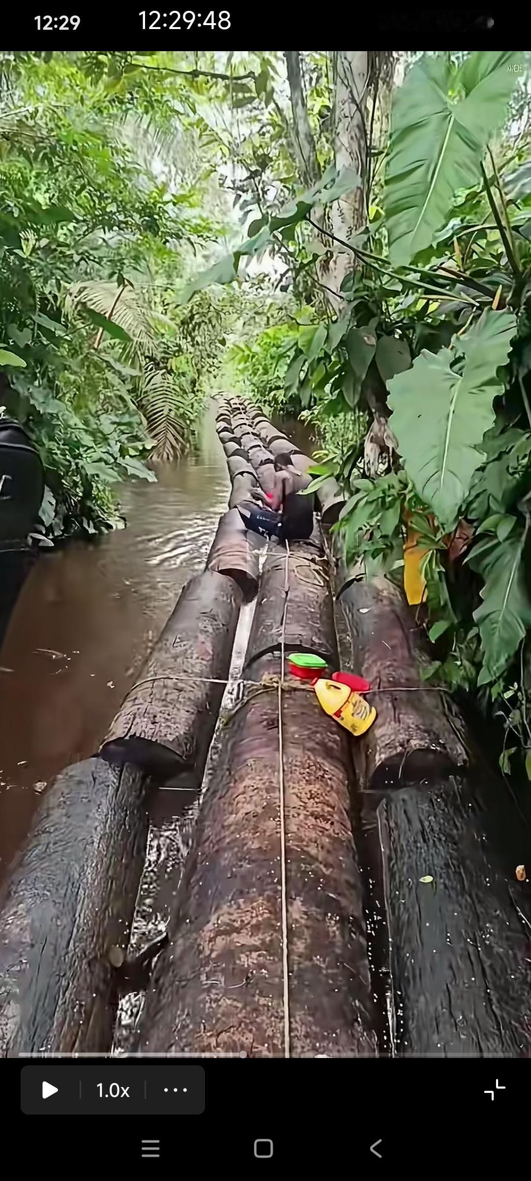 非洲人在放排

非洲刚果盆地热带雨林，当人利用河水系支流运送木材。

我们以前交