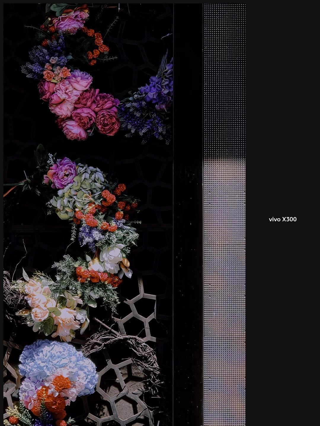 暗花
vivo
兜里的片场
舌尖上的秋天