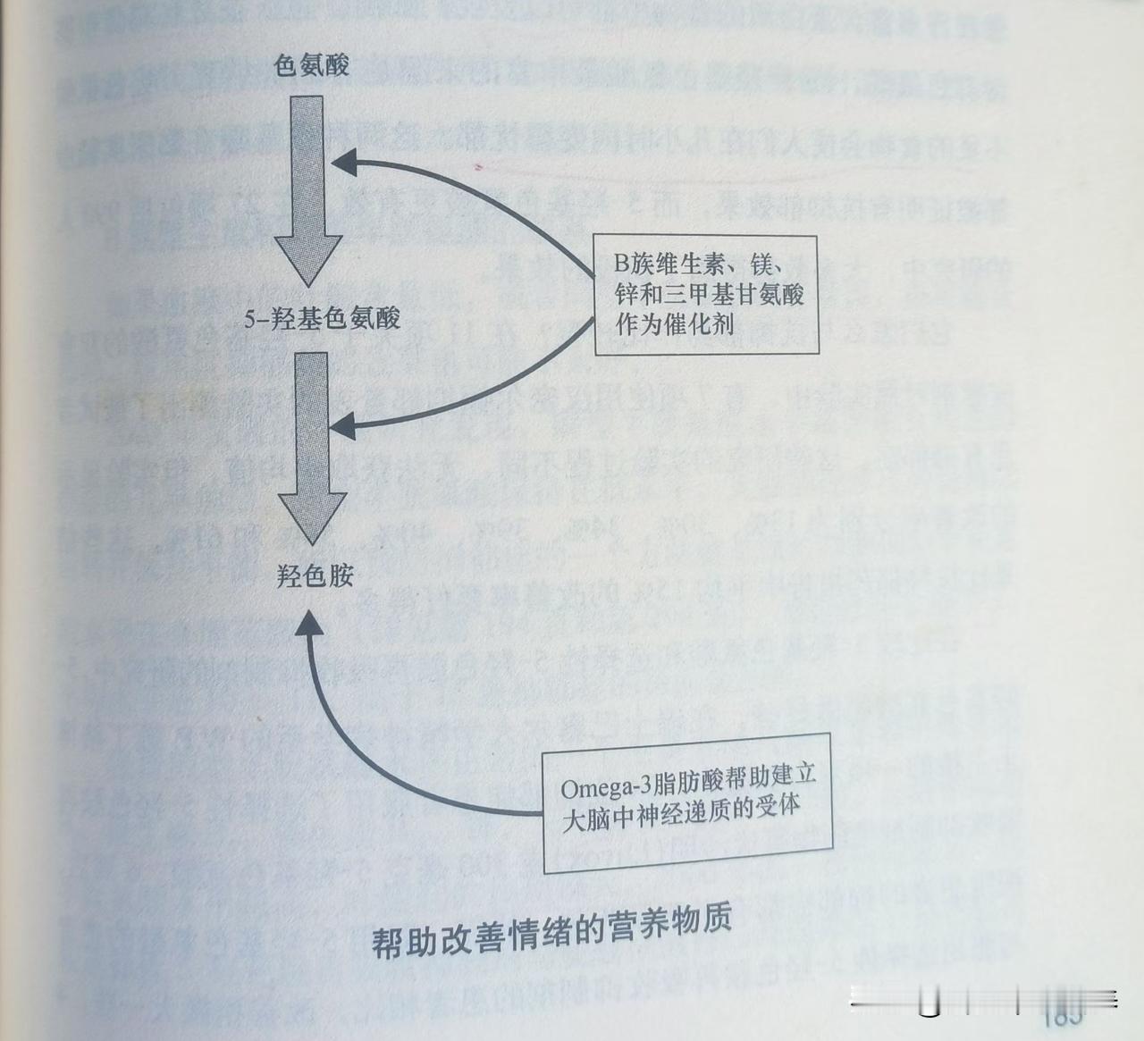 用营养疗法治疗抑郁：

1. 吃富含氨基酸的食物。蛋白质中的色氨酸在体内代谢，产