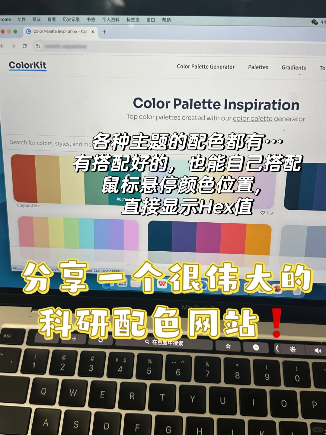 这个科研配色网站… 必备必备必备，很好用❗️