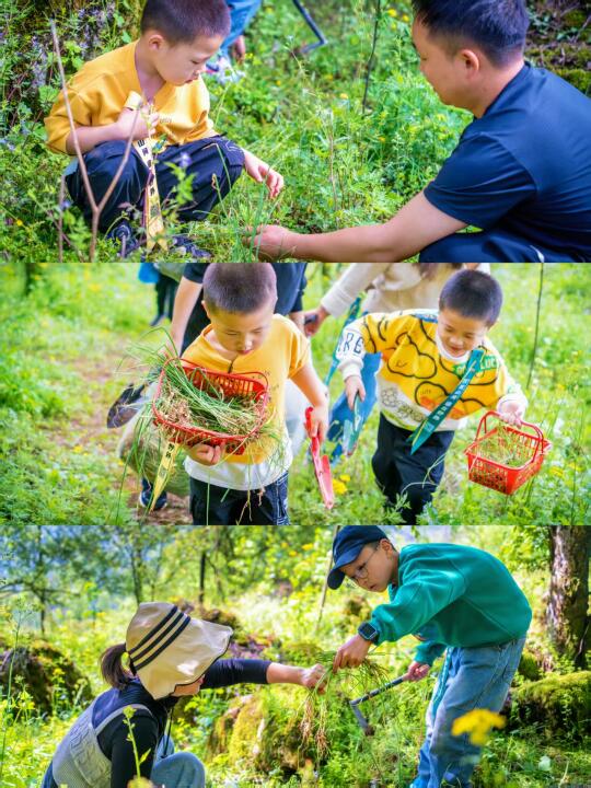 春日🍃一起去山里挖野菜，68💰（组队）
