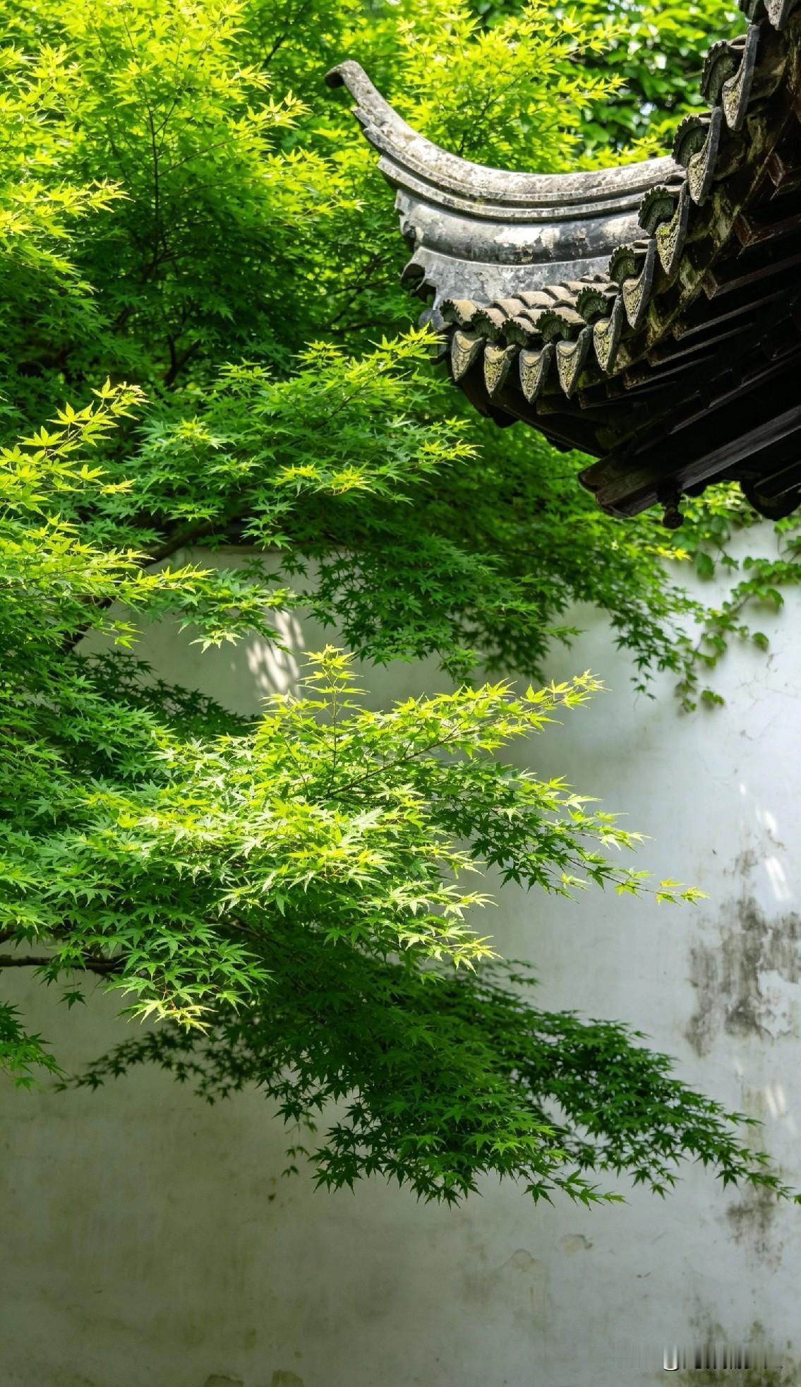 一天俩馒头真能瘦？医生这句话，救了多少人
网上流传一段医生的话，听着像减肥秘诀，
