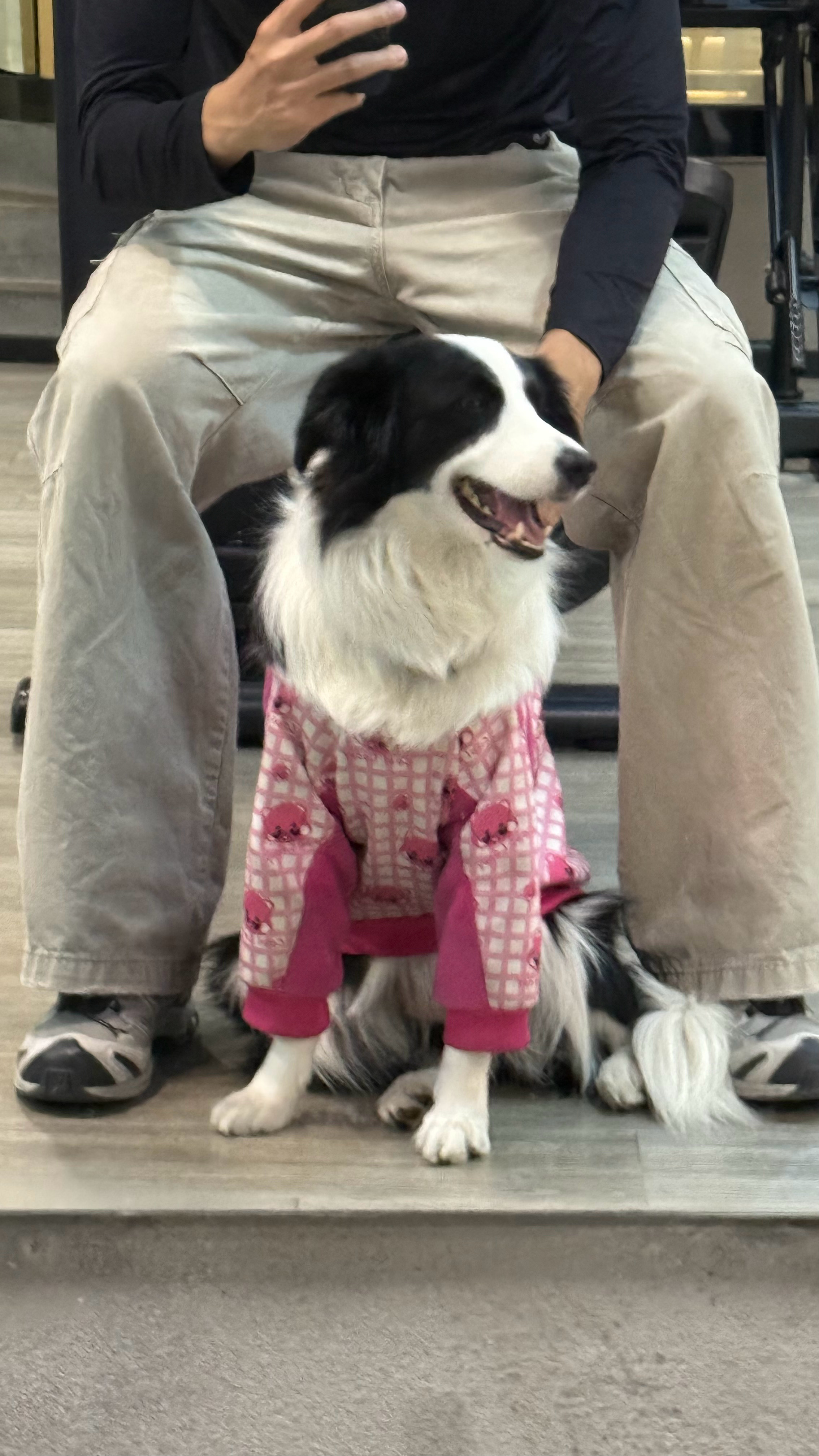 给你们介绍一下：这是我今天的陪练