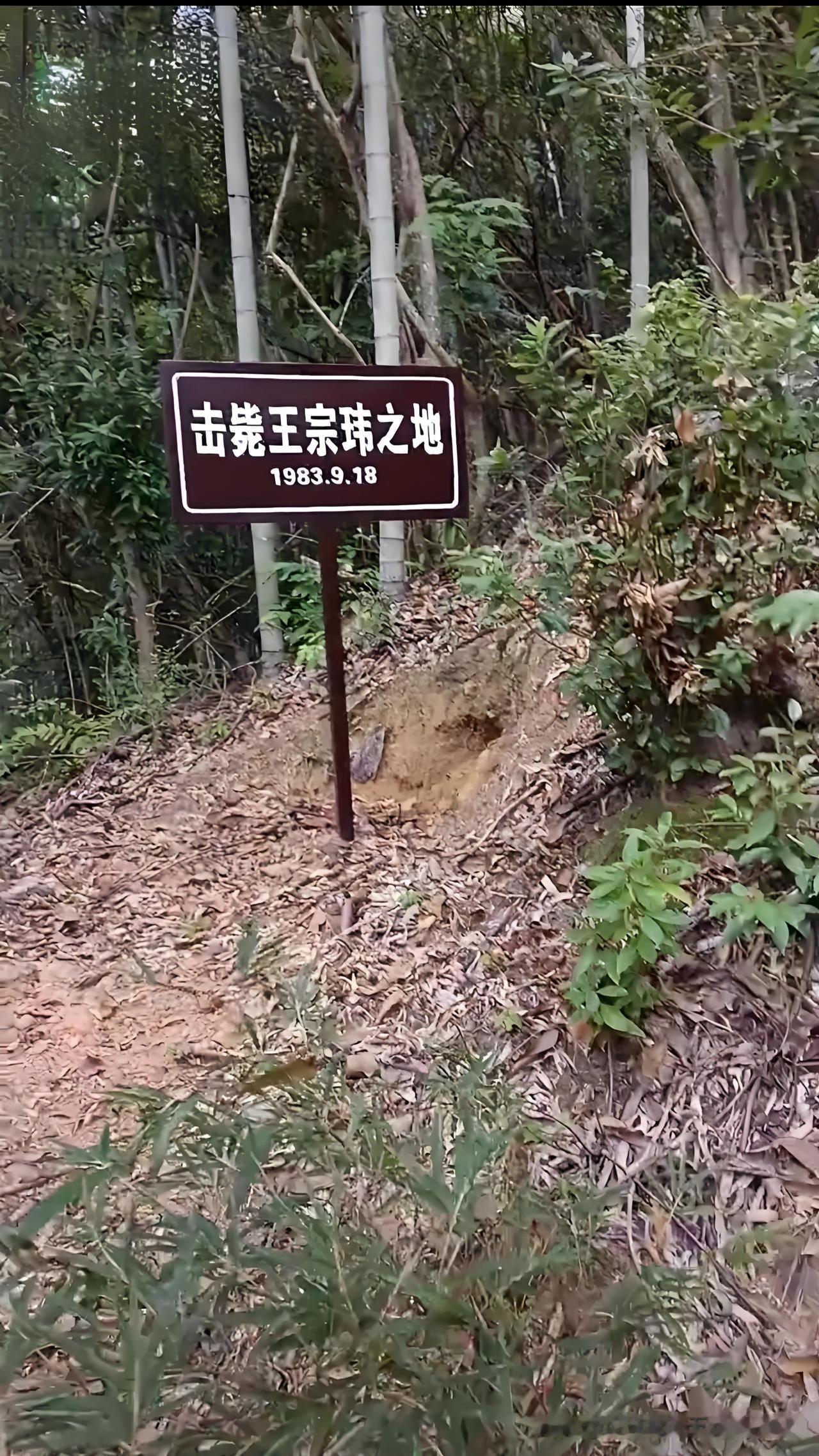 你知道新中国首张悬赏通缉令的对象是谁吗？
提起40年前’“二王”持枪杀人抢劫案，