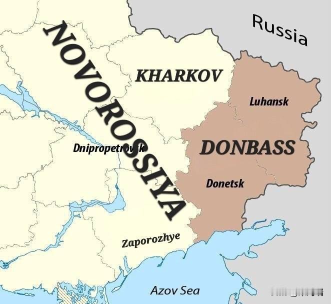 据《新闻周刊》报道，泽连斯基的最新决定表明，乌克兰军队有可能从顿巴斯撤出，并建立