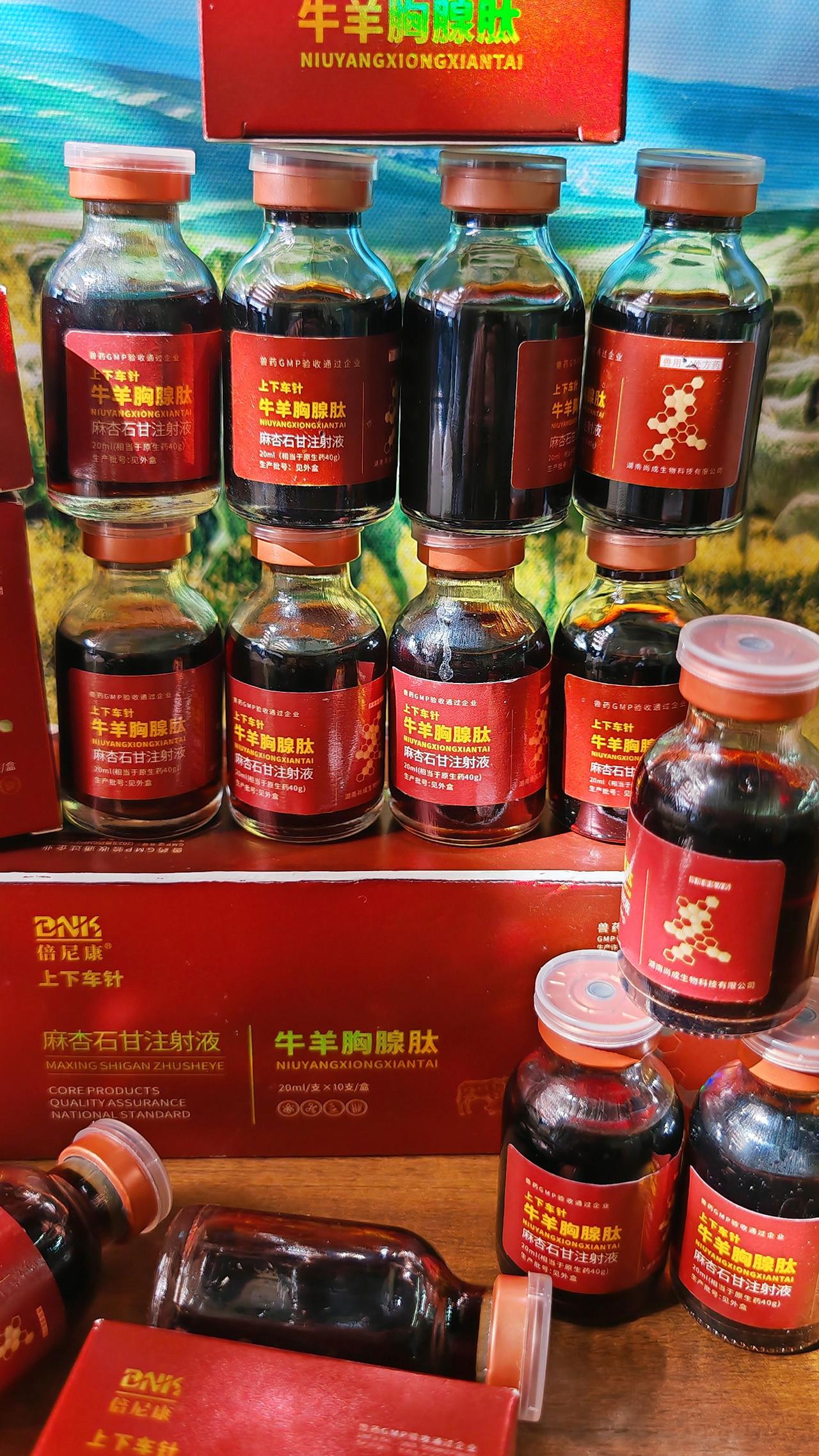 养羊人 牛羊养殖 农村养羊