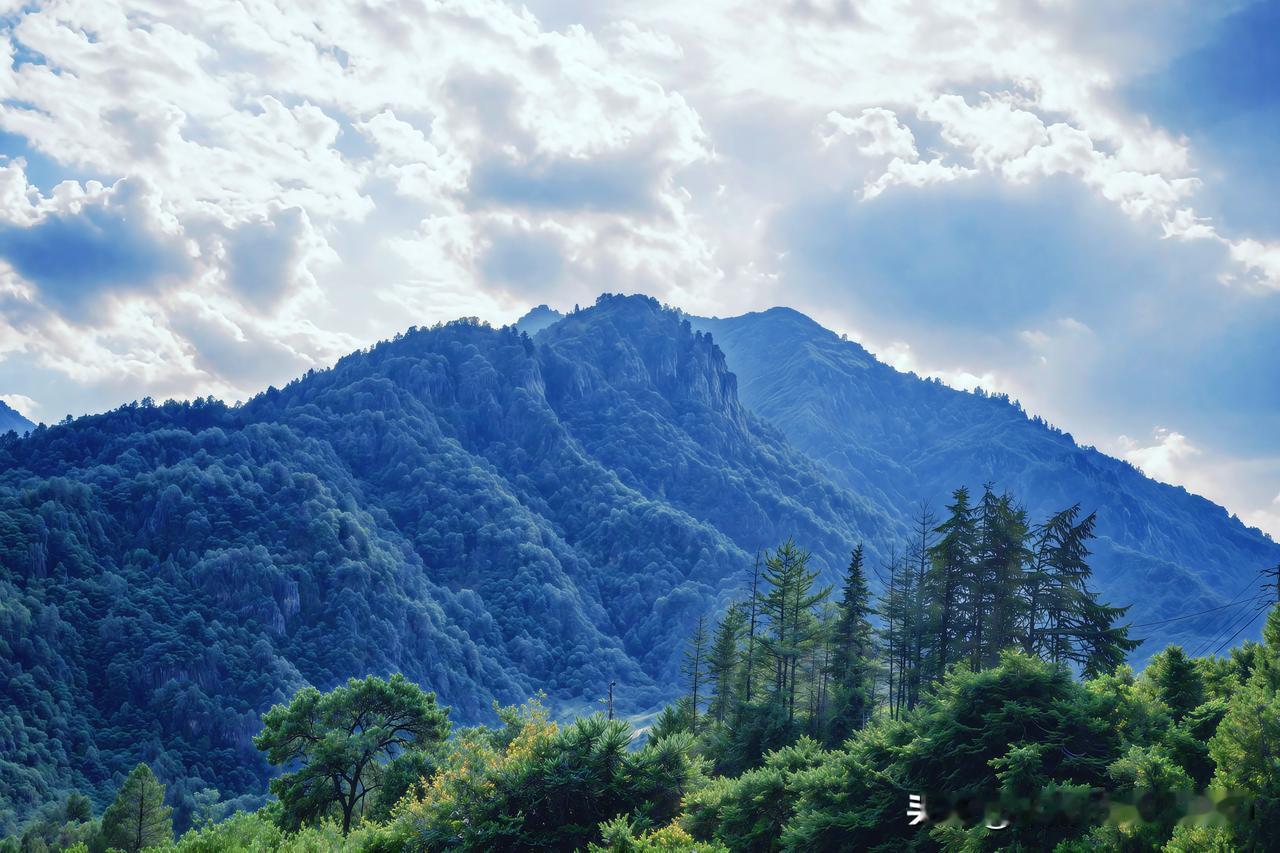 上周回了趟老家青山黄土峪，刚下车就被撞进眼里的画面震住了。
头顶是铺得满满当当的