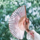 白梅爱品音乐