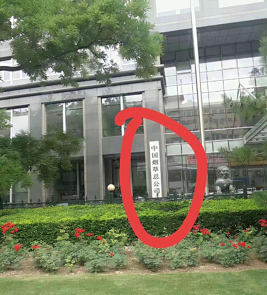 想来这家单位上班，究竟得是什么学历才行？