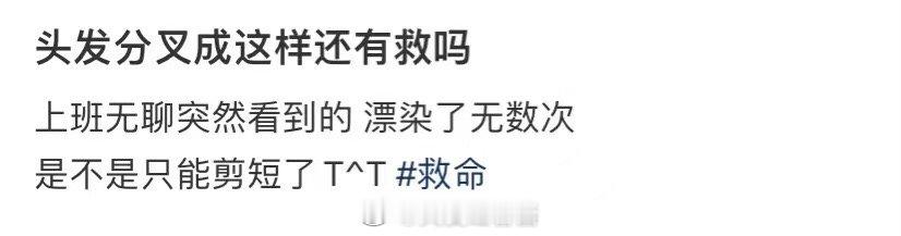 有什么办法可以挽救我的分叉头发 ​​​