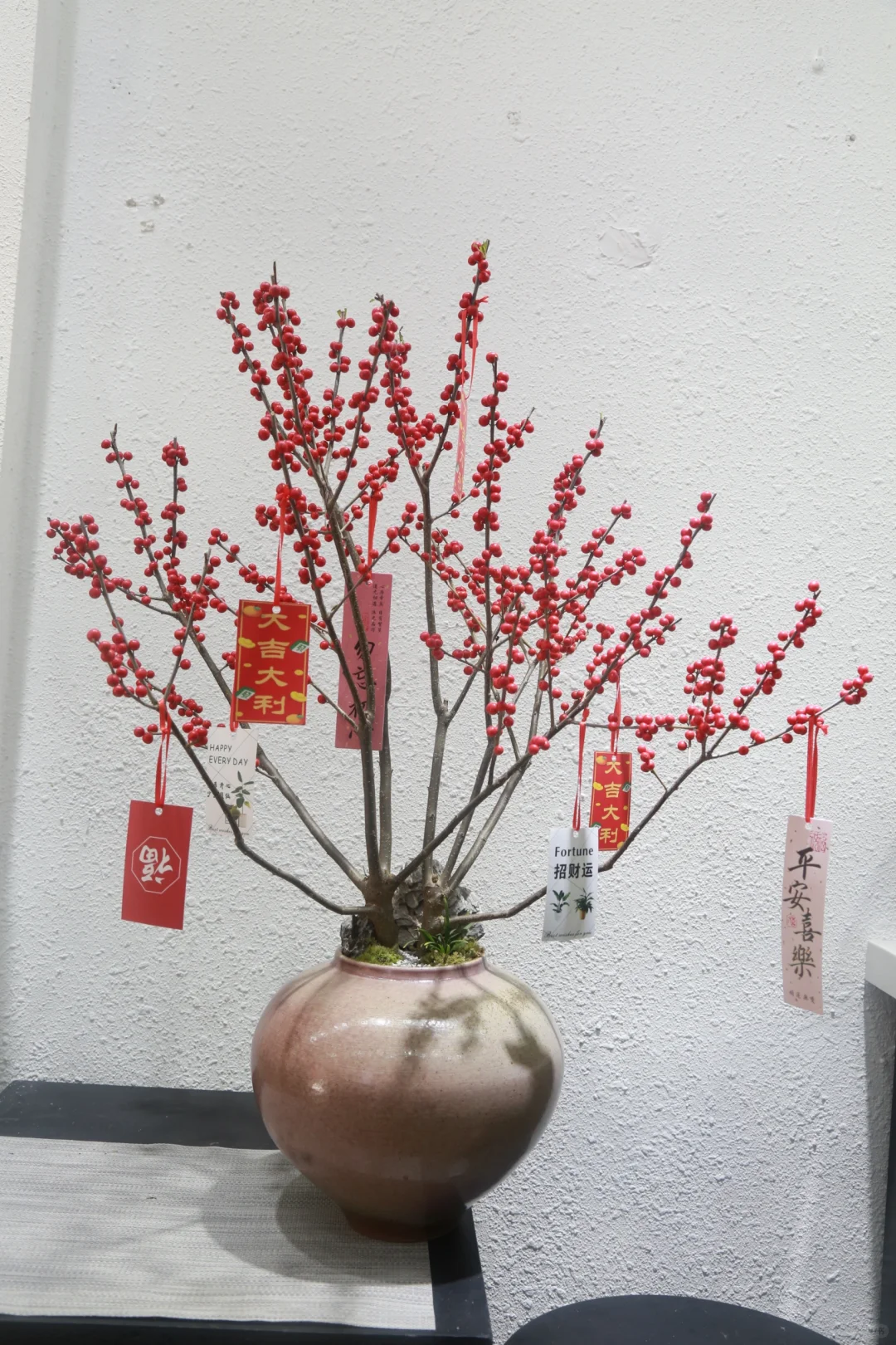 花田小熊 冬青盆栽上市 证明离过年不远了！