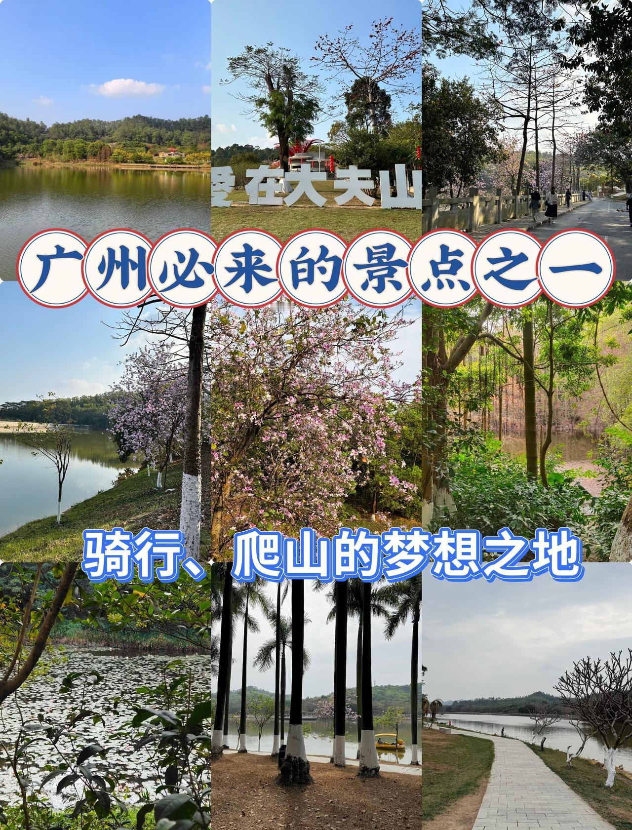 大夫山骑行记｜在森林里，开启马年春天模式🚲
📍广州 
今天来番禺大夫山森林公