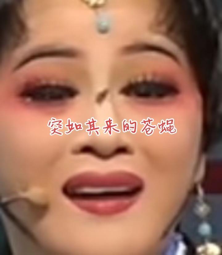 温珊珊新松计划决赛 爬了她满脸，最后还要跑眼睛去，她还是定力满满，这分值了