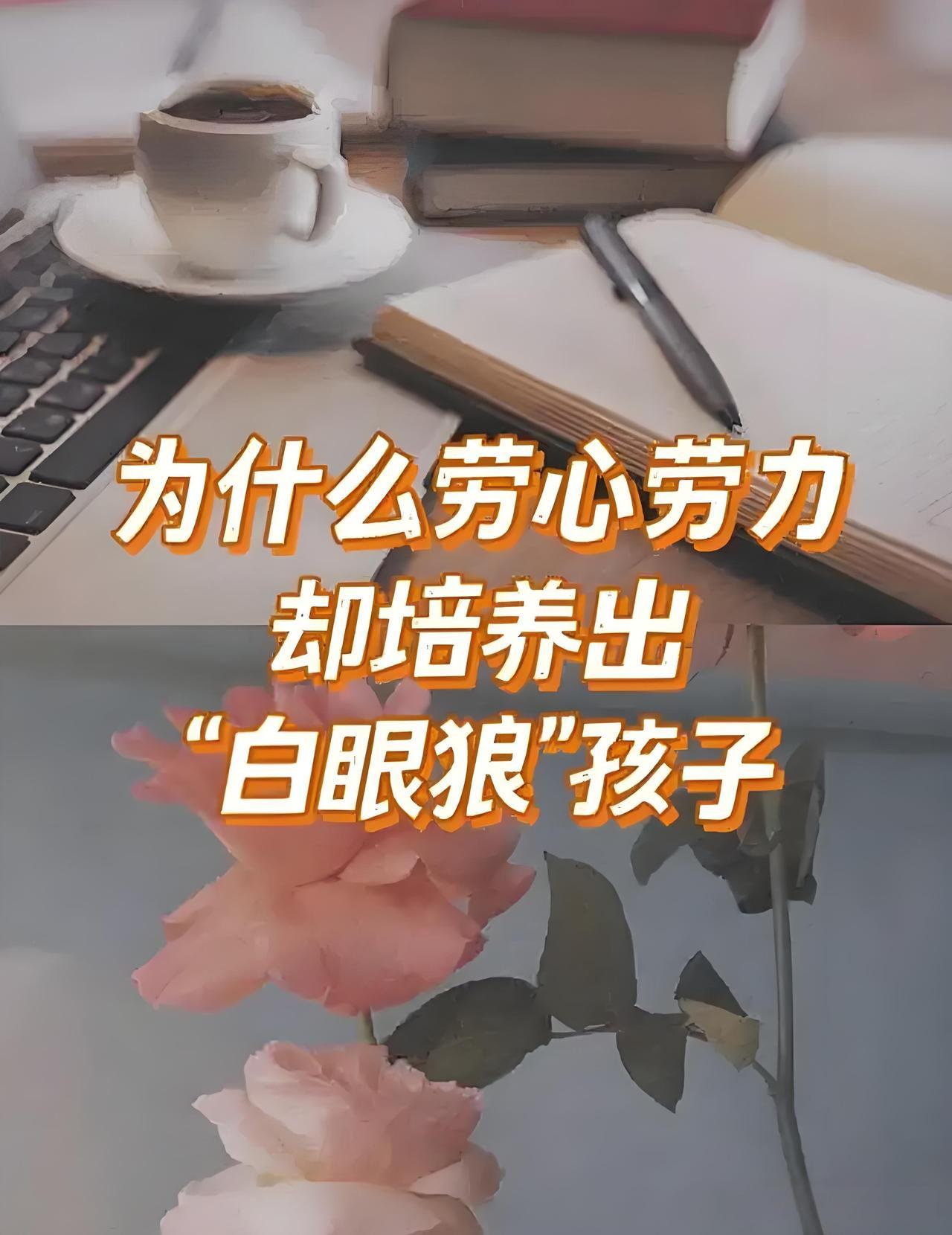 爱不是纵容！
父母越卑微付出，
孩子越觉得理所当然？
白眼狼的病根在这！

真别