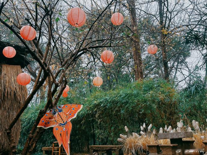 赵小童忙里偷闲走马观花一下  家人们，赵小童忙里偷闲的走马观花plog，画面好看
