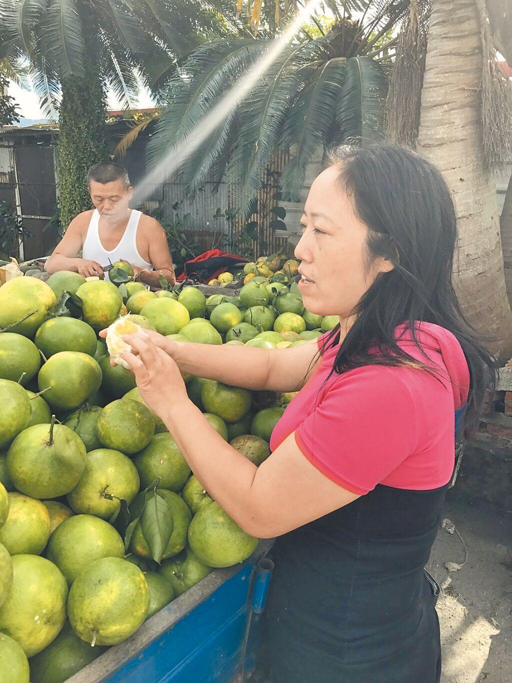民进党的刘世芳们才该滚啦

花莲陆配村长邓万华因未放弃中华人民共和国国籍，被台湾