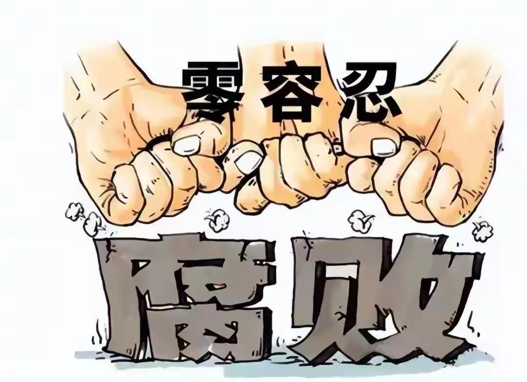 反腐倒查20年并不是全国统一在2024-2025年启动的整治行动，而是从2020