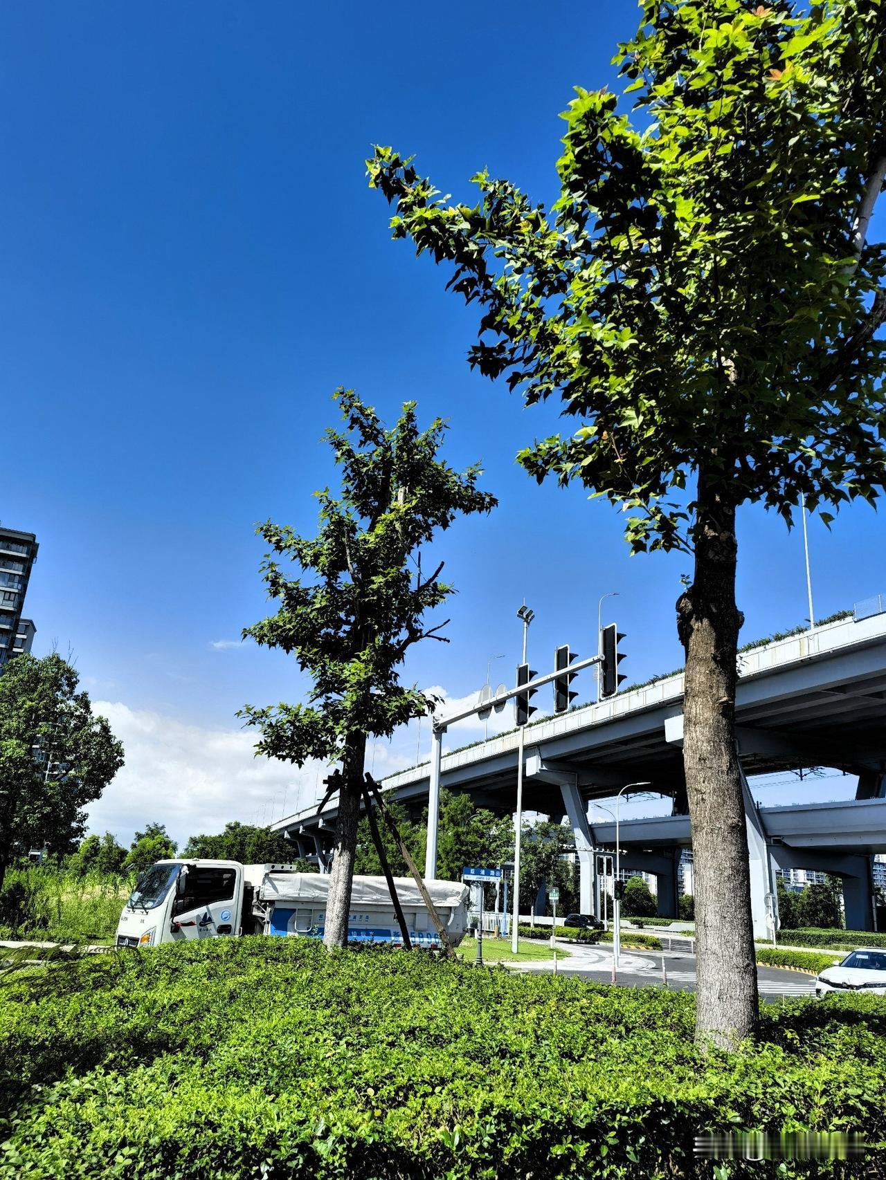 奉化街口随拍

前几日去奉化游玩，随手拍下了街头的风景。湛蓝的天空飘着大朵白云，