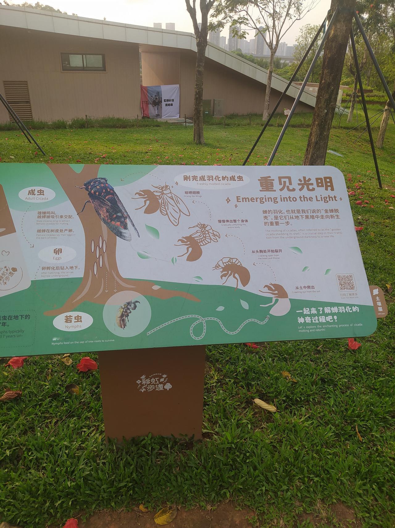 蝉的一生，在地下待3~7年，破土而出，也只能活几天。
而我们是不是也是如此？奋斗