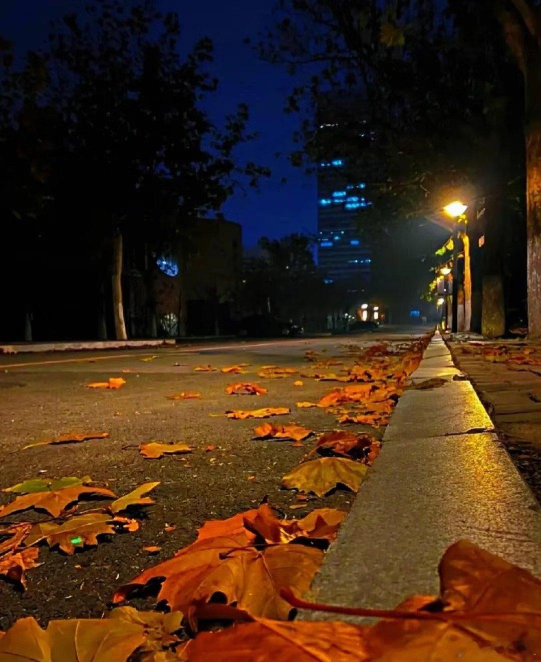 有色金属长周期牛市不改，短期只是阶段性调整。周末黄金、白银大幅下跌，下周有色金属