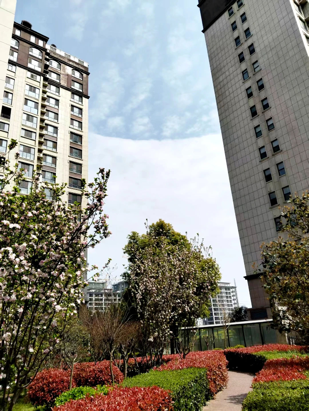 小区🏘一角随手✋🏻拍到的春天～🍀