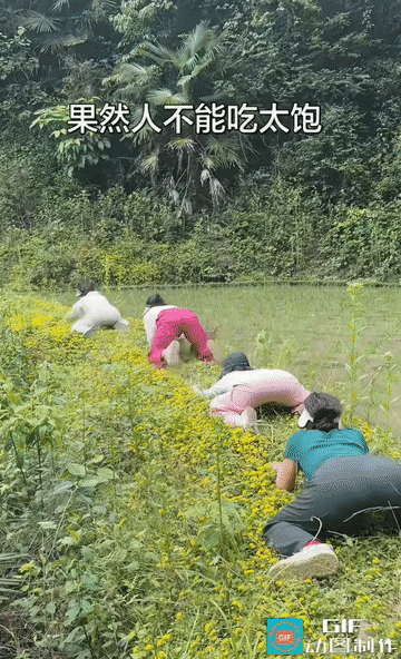 江湖新门派现世！神蛙功横空出世
 
果然人真的不能吃太饱。
 
刷到这一幕直接笑