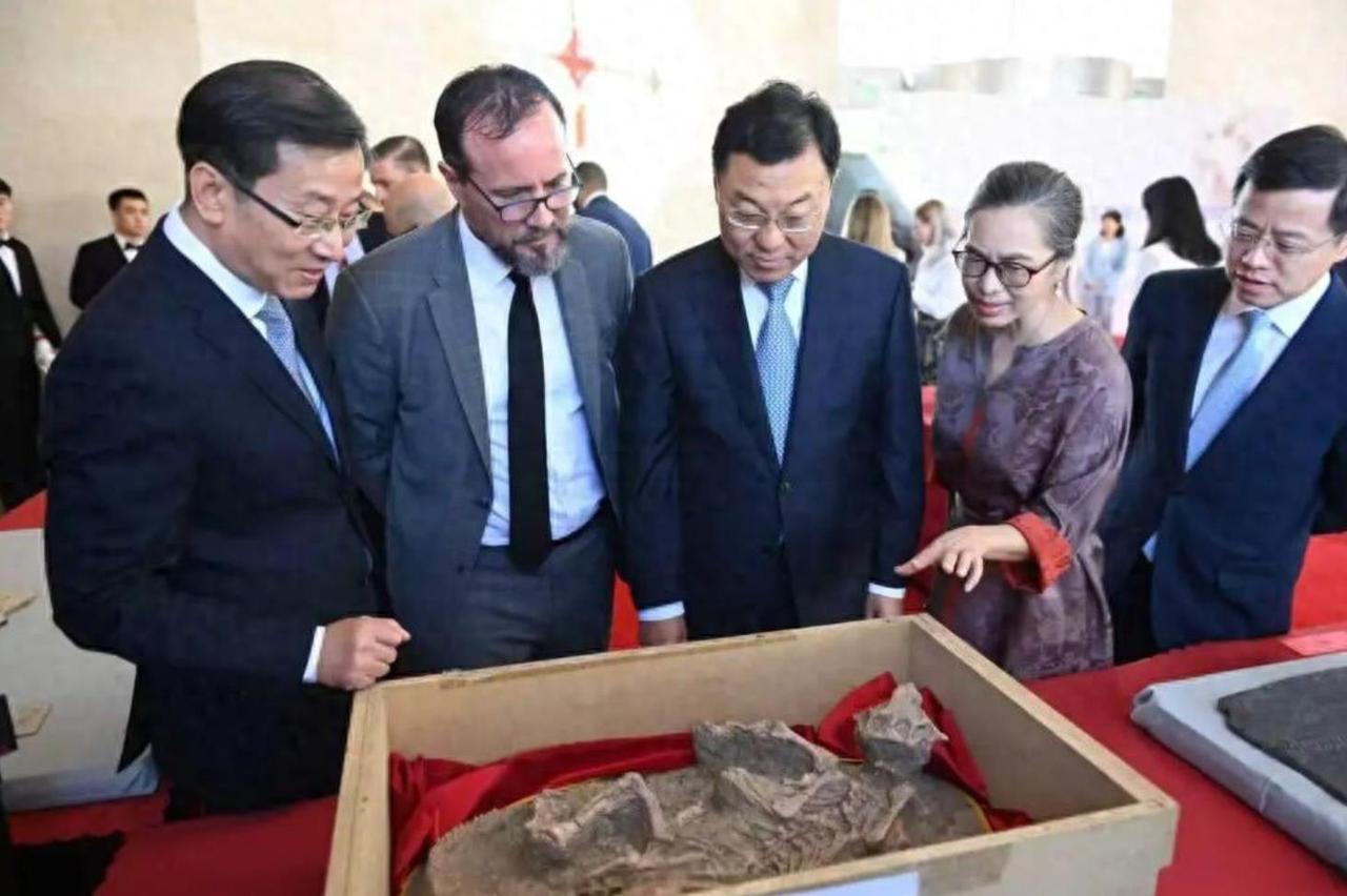 谈妥中美同步签字，谢锋大使反复强调2字，联手时机已到？

2026年9月16日至