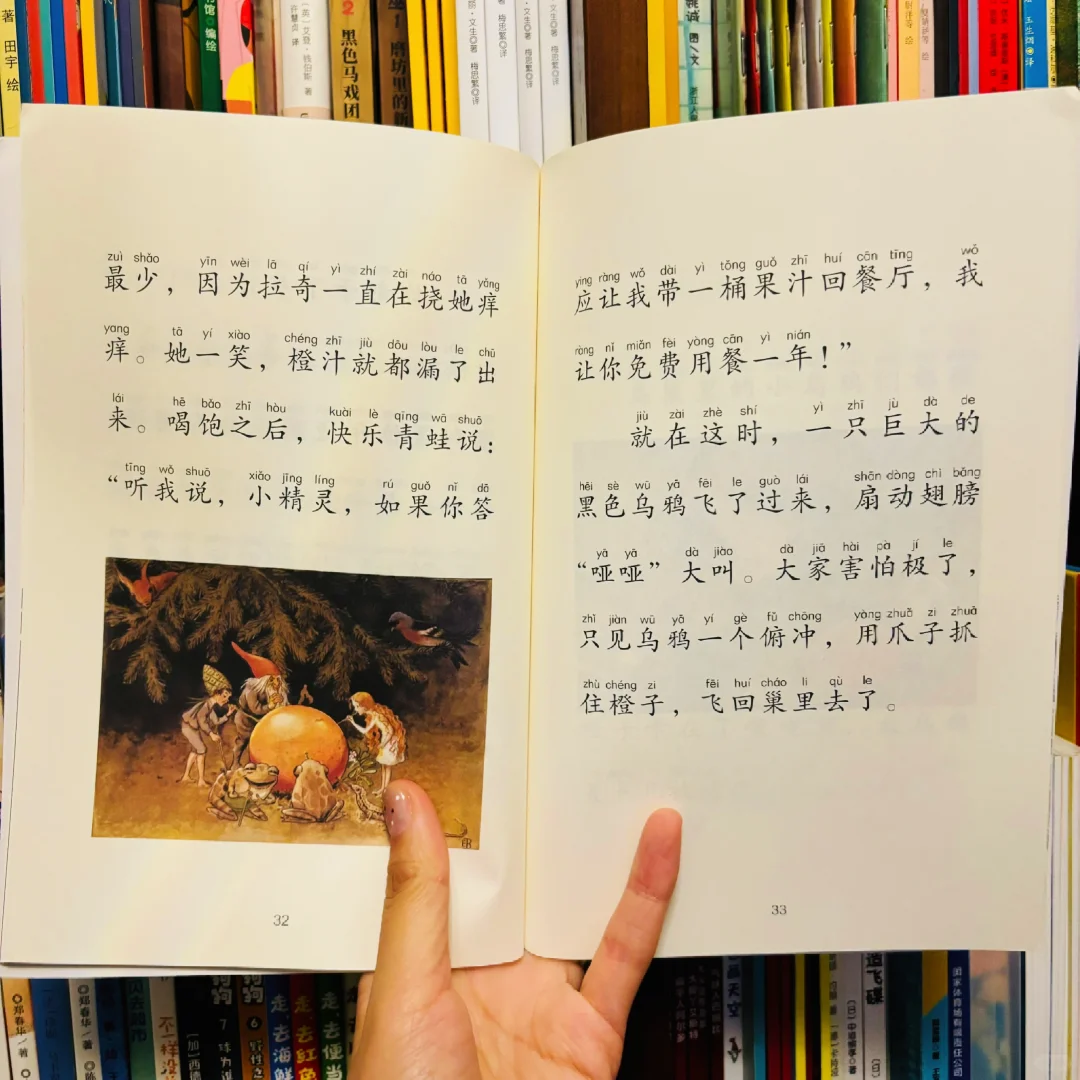 字又大又有注音的桥梁书！还是艾尔莎·贝斯蔻