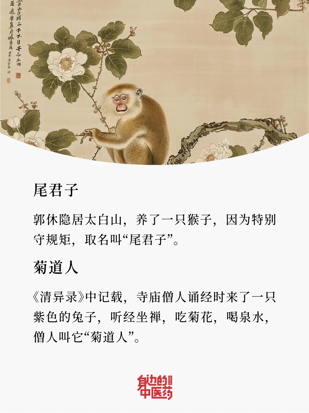 你家宠物叫什么名字？