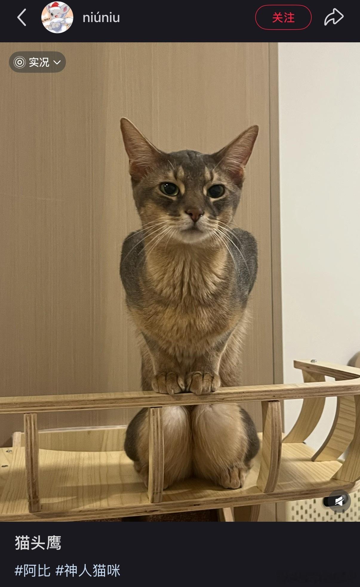想尿就去尿嘛 