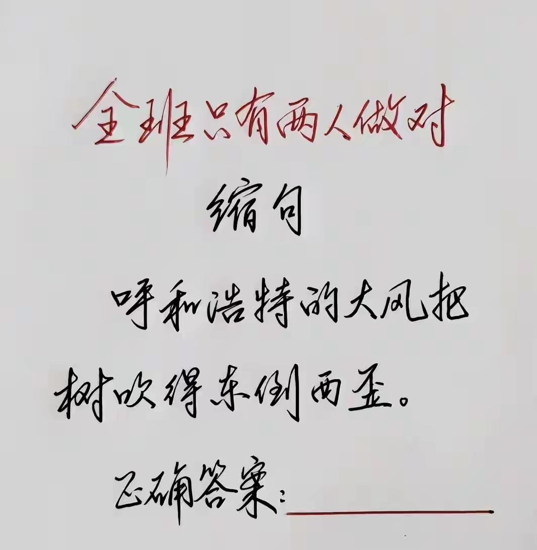缩句，全班只有两人做对，请问正确答案是？