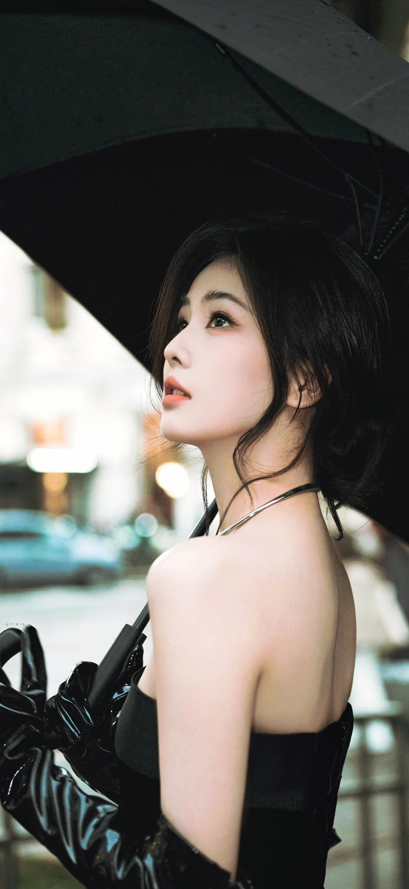 线条小狗手绘壁纸 