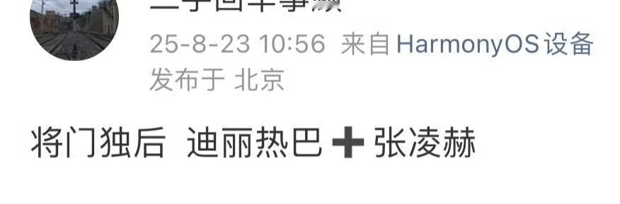 据说将门毒后 ：迪丽热巴 张凌赫，终于可以看到他们第一次合作了😊张赫凌