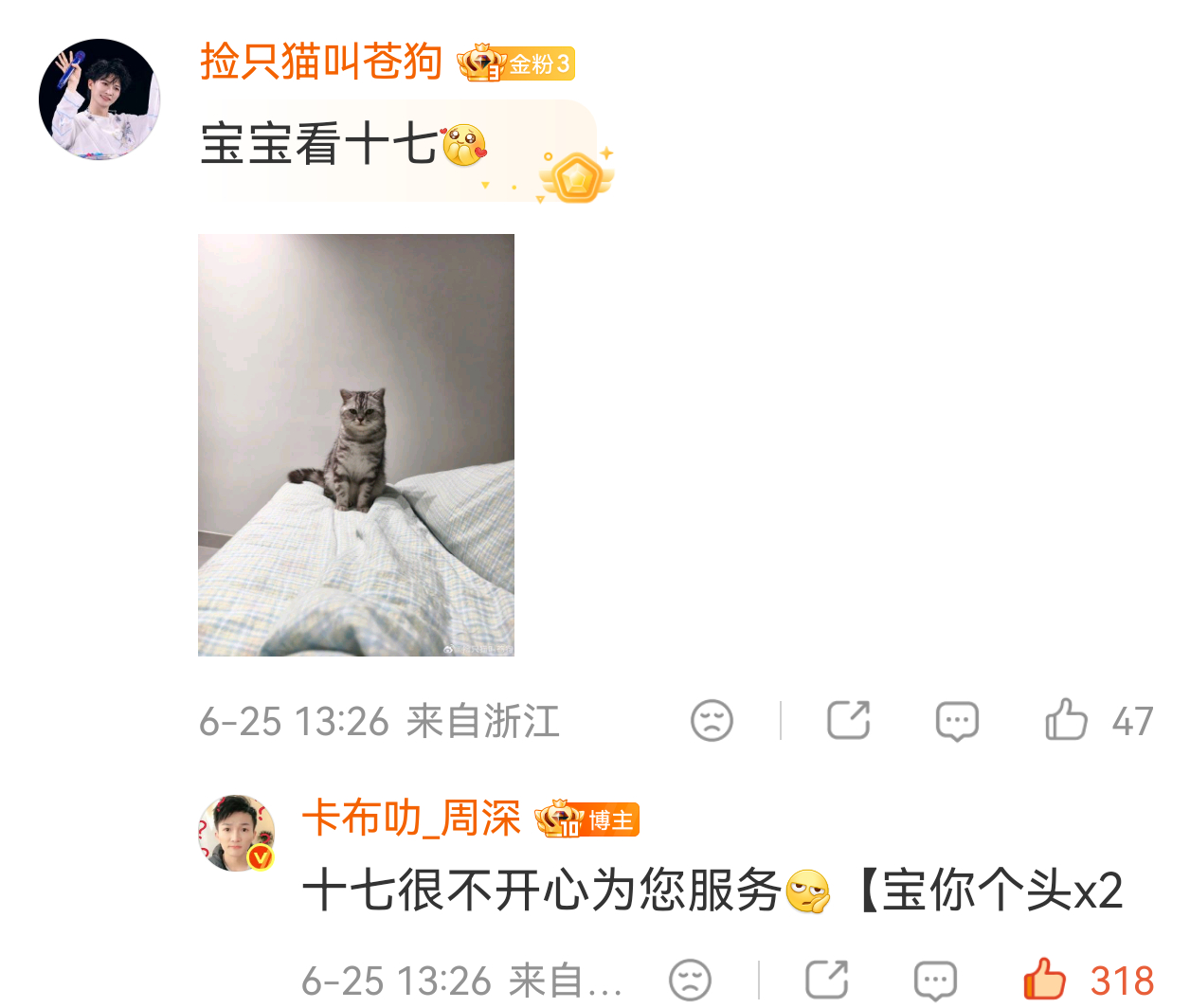 等一下 为什么不叫苍狗（？） 