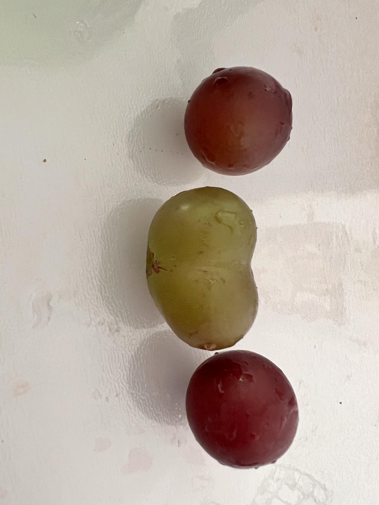 屁屁葡萄🍇
好可爱[祝福]