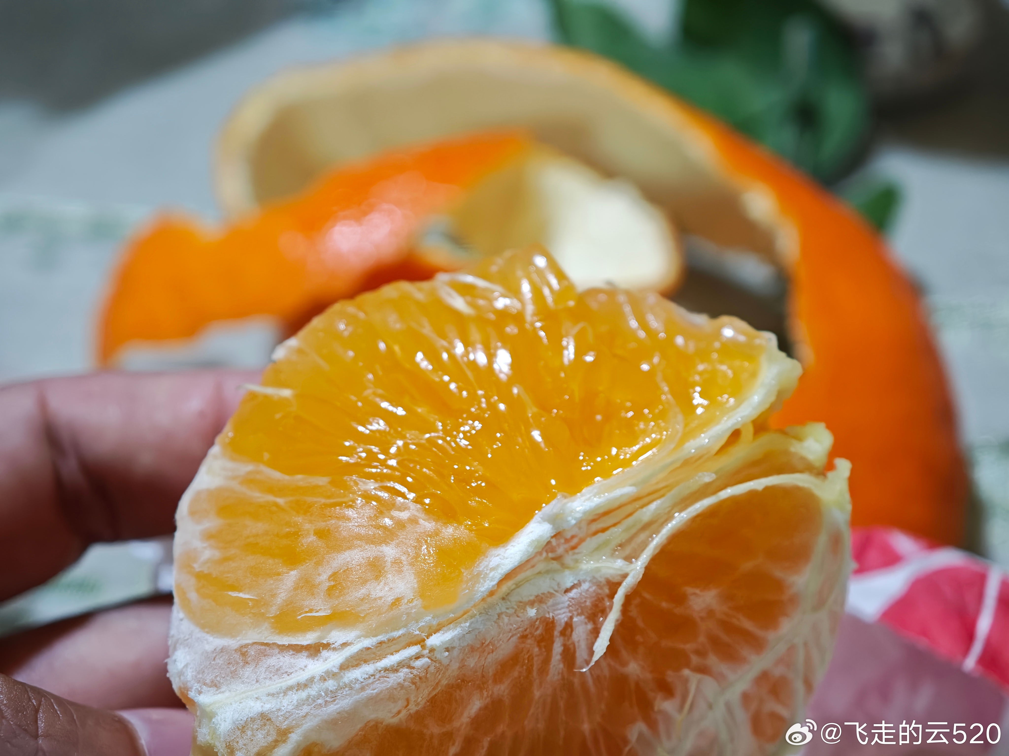 买了两箱车友家里种的橙子，今年的品质也很好放心买，强烈推荐 