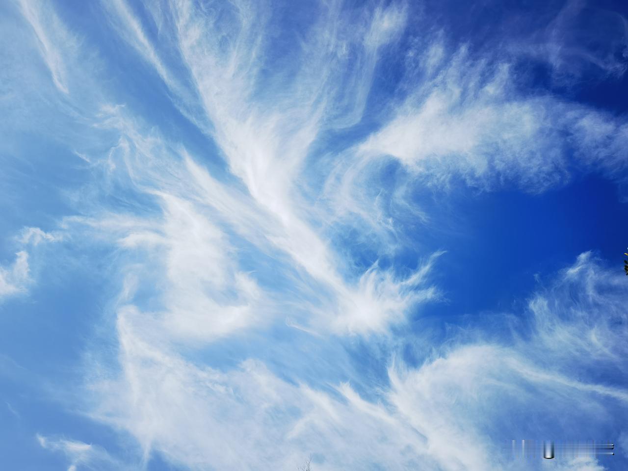 分享一张蓝色的天空