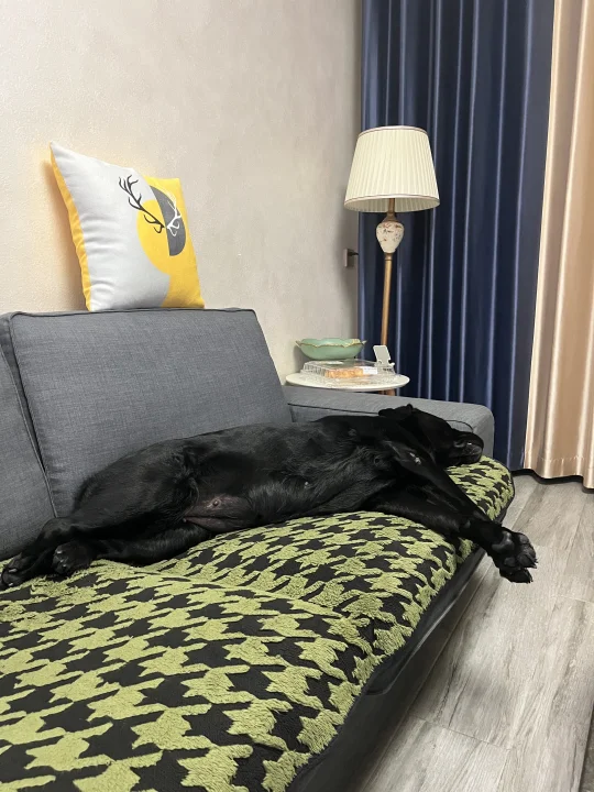 快起来看甄嬛啦