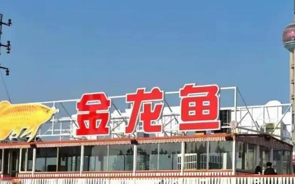 如果不是因为黄循财站在高市早苗一边，对中国指手画脚，引发两国之间矛盾……如果不是