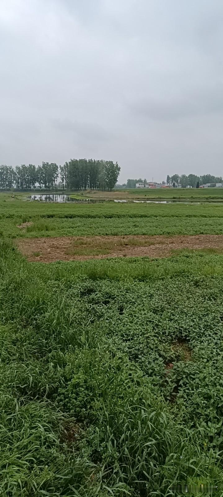 永远都不要用自己的辛苦钱，去给别人买自己都不舍得买的东西。很多人连自己都舍不得买